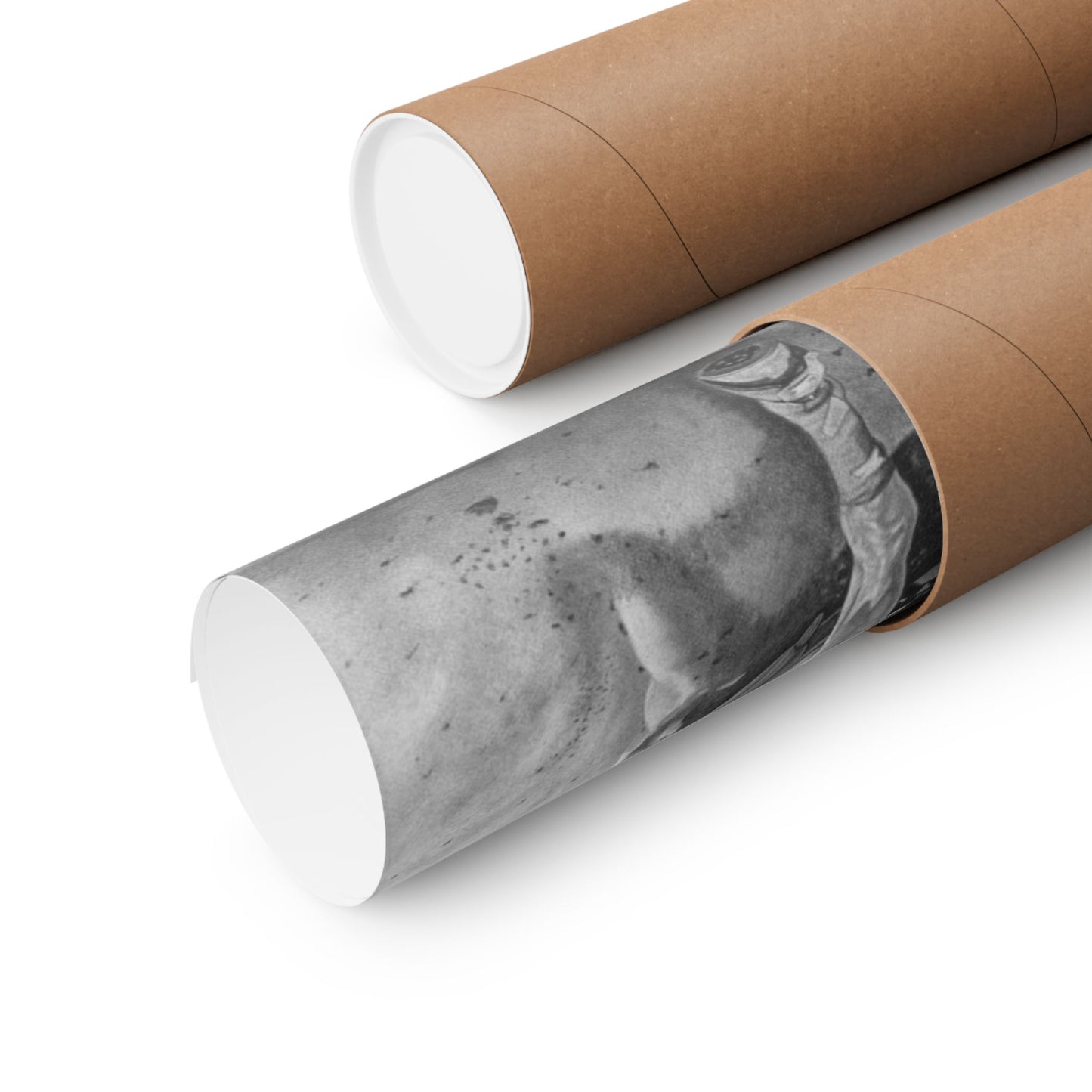 "Stone Cold Throw" Matte Vertical Posters