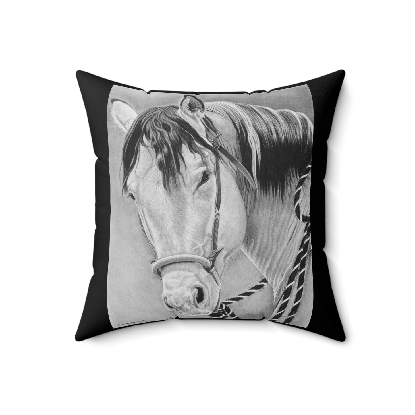 "Watcha lookin at" " Western Art Pillow