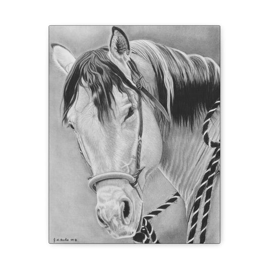 "Watcha lookin at " western art on canvas