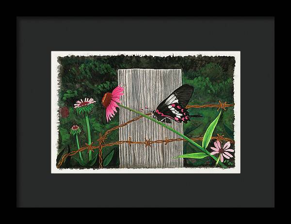 Fence Post and Butterfly - Framed Print