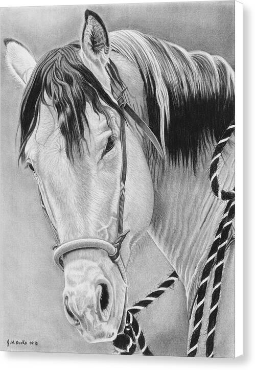 Watcha Lookin at - Canvas Print
