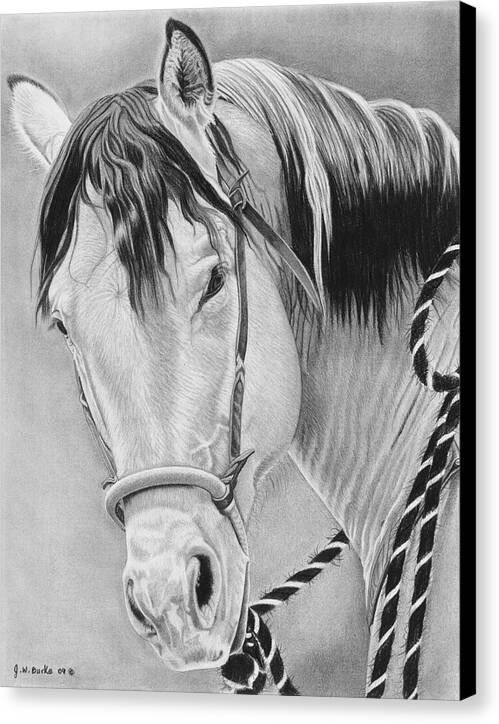 Watcha Lookin at - Canvas Print