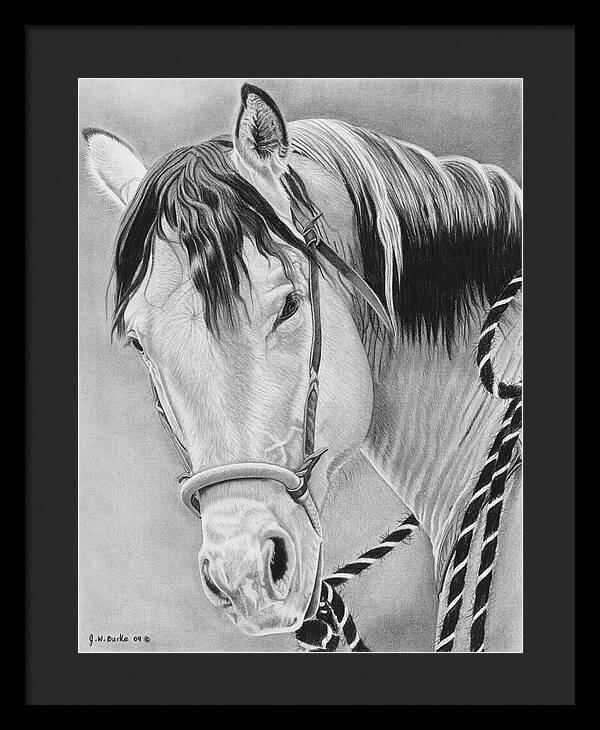 Watcha Lookin at - Framed Print