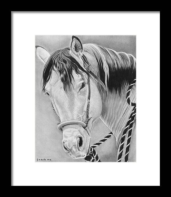 Watcha Lookin at - Framed Print