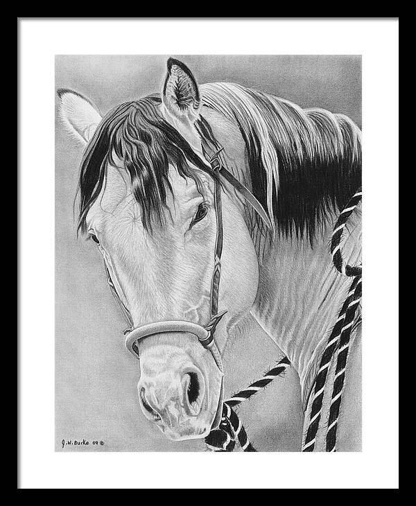 Watcha Lookin at - Framed Print