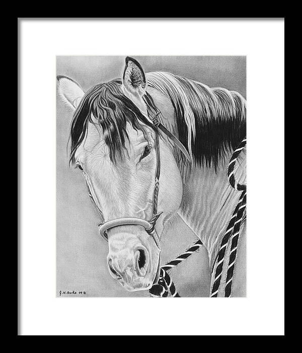 Watcha Lookin at - Framed Print