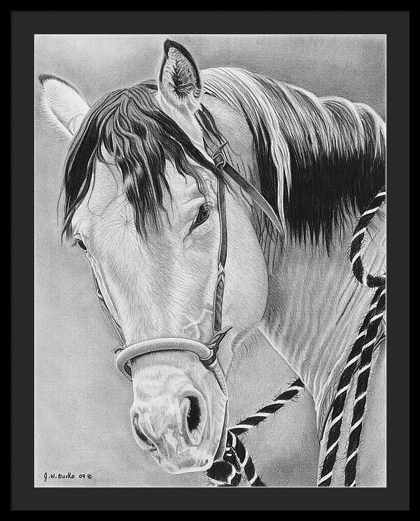 Watcha Lookin at - Framed Print