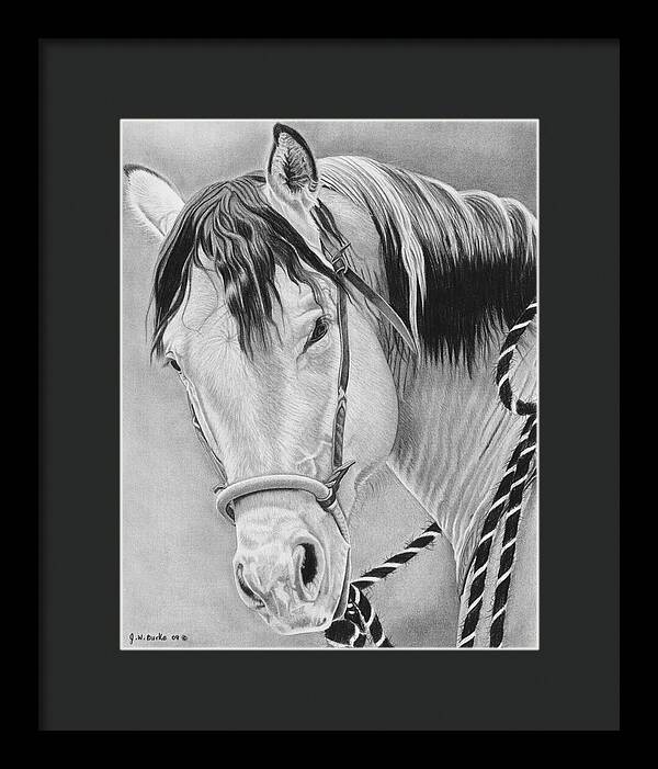 Watcha Lookin at - Framed Print