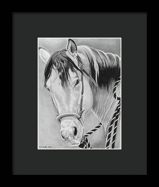 Watcha Lookin at - Framed Print