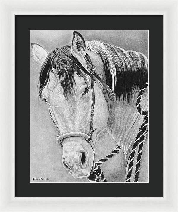 Watcha Lookin at - Framed Print