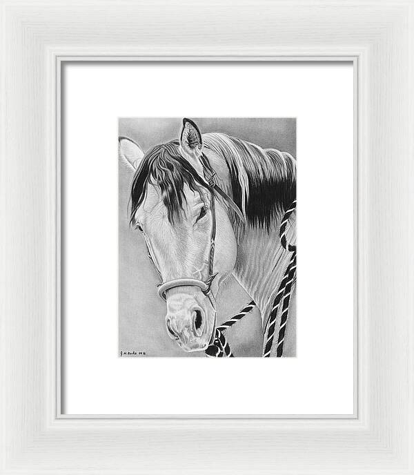 Watcha Lookin at - Framed Print