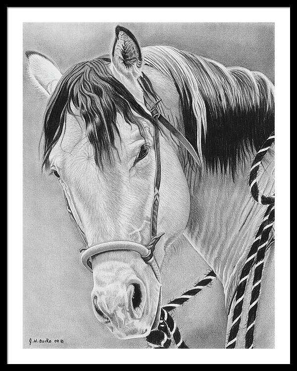 Watcha Lookin at - Framed Print