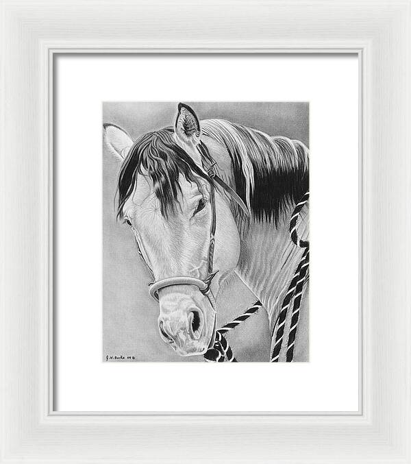 Watcha Lookin at - Framed Print