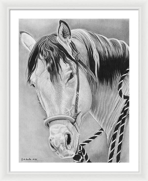 Watcha Lookin at - Framed Print