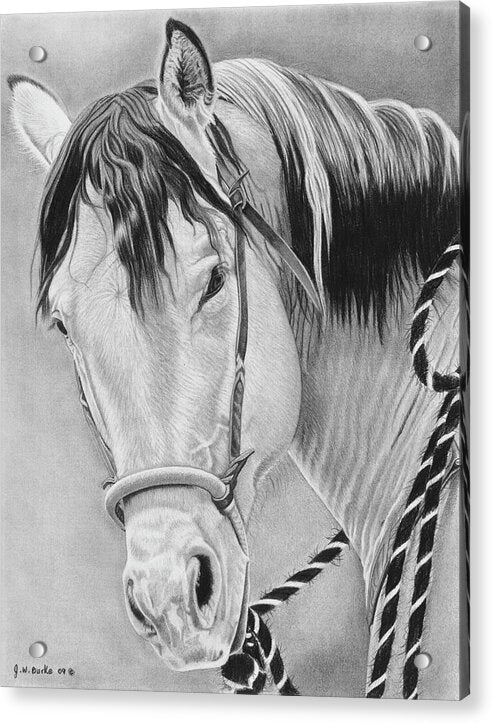 Watcha Lookin at - Acrylic Print