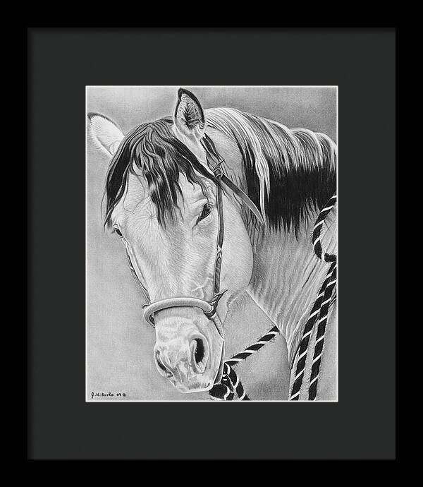 Watcha Lookin at - Framed Print