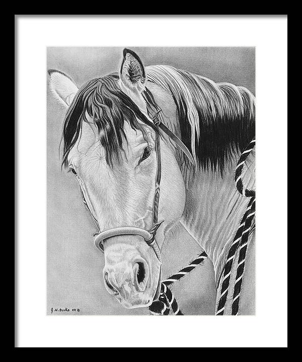 Watcha Lookin at - Framed Print