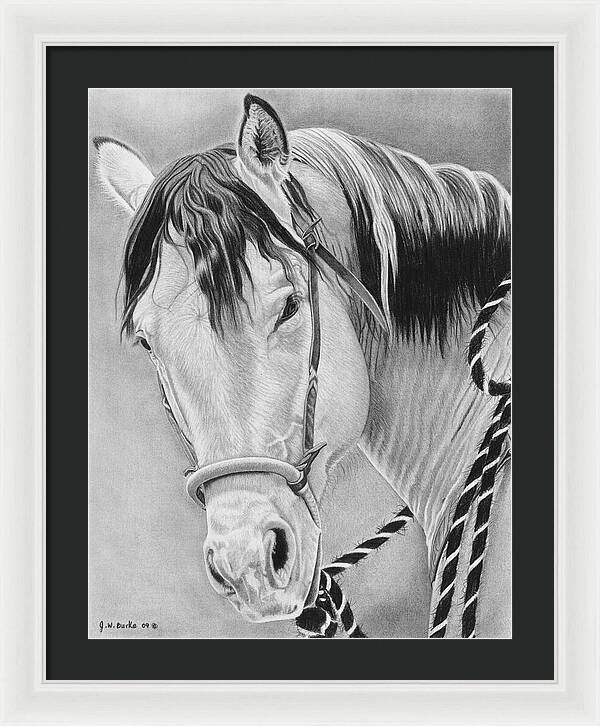 Watcha Lookin at - Framed Print