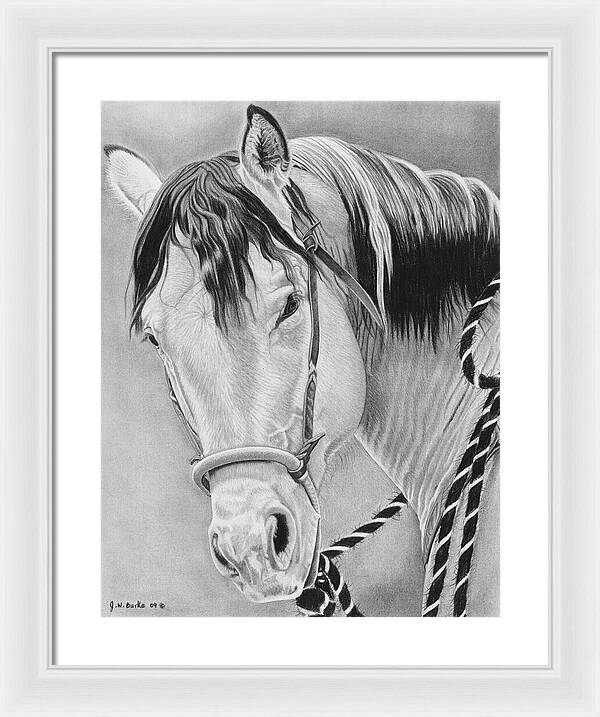 Watcha Lookin at - Framed Print