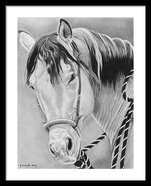 Watcha Lookin at - Framed Print