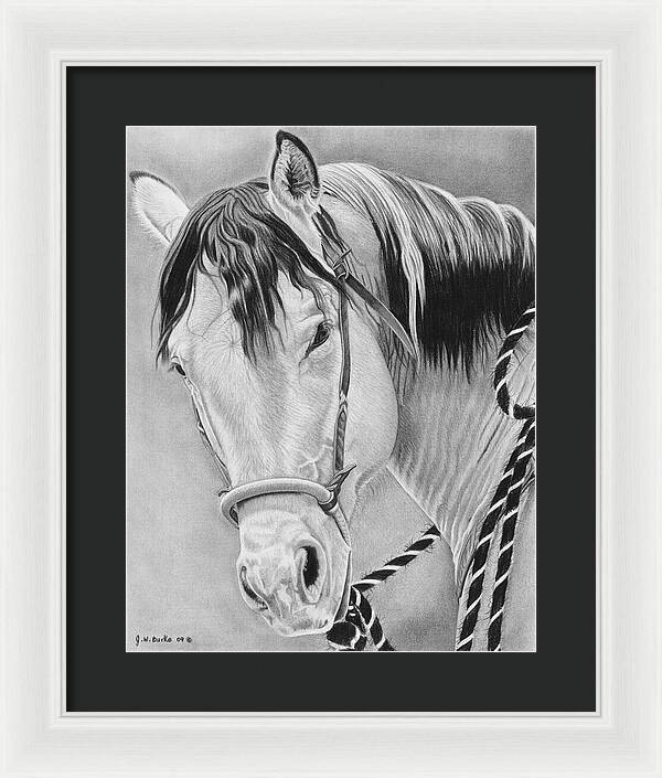 Watcha Lookin at - Framed Print