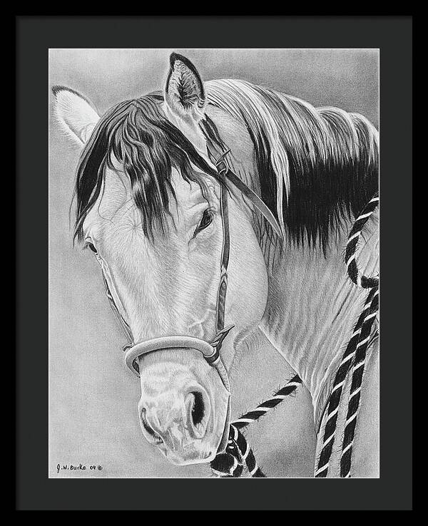 Watcha Lookin at - Framed Print