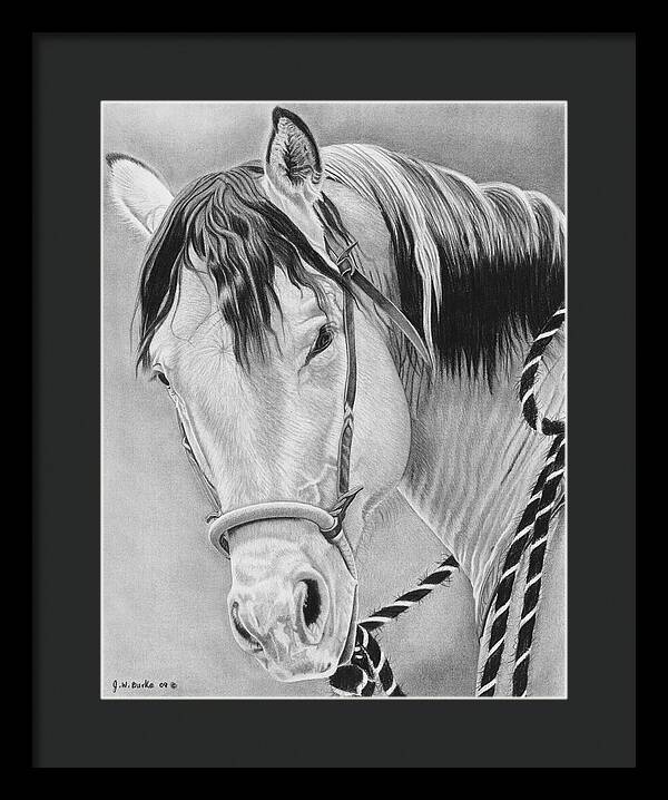 Watcha Lookin at - Framed Print