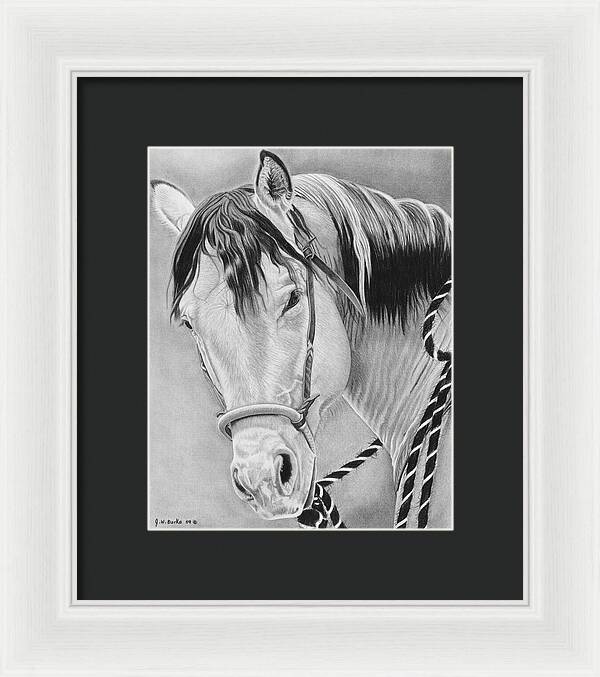 Watcha Lookin at - Framed Print