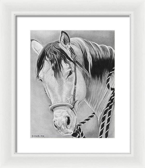 Watcha Lookin at - Framed Print