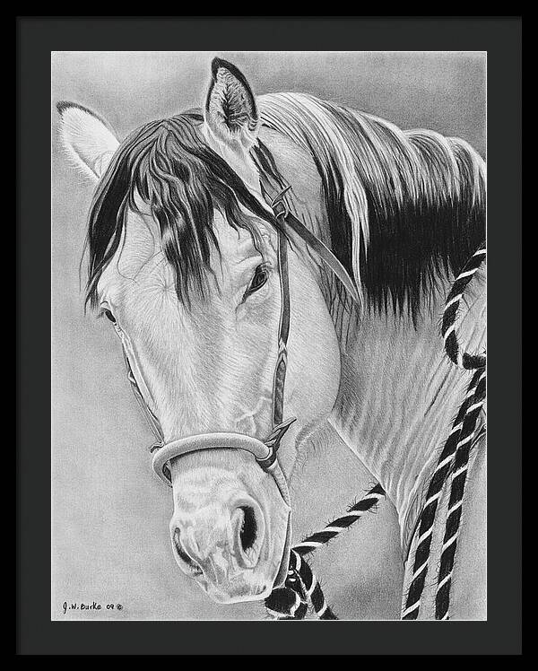 Watcha Lookin at - Framed Print