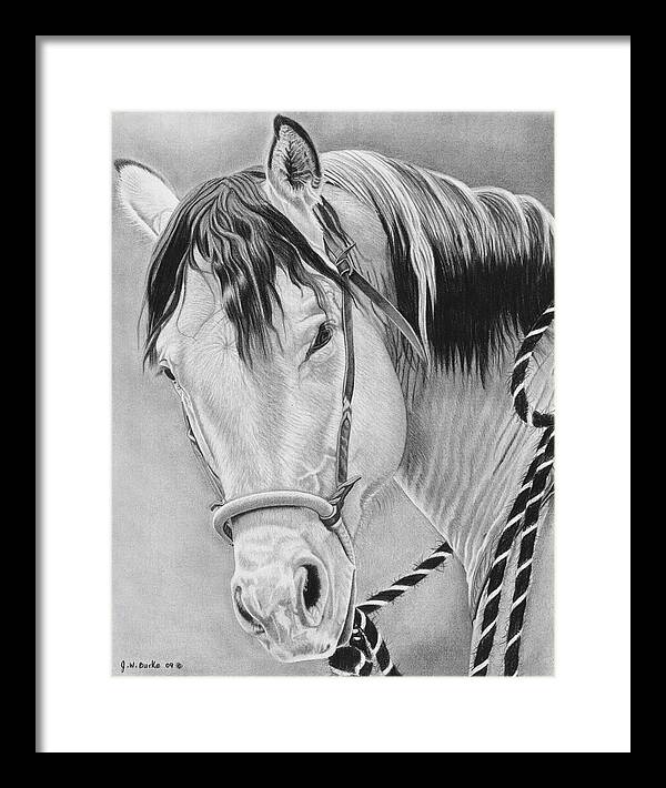 Watcha Lookin at - Framed Print