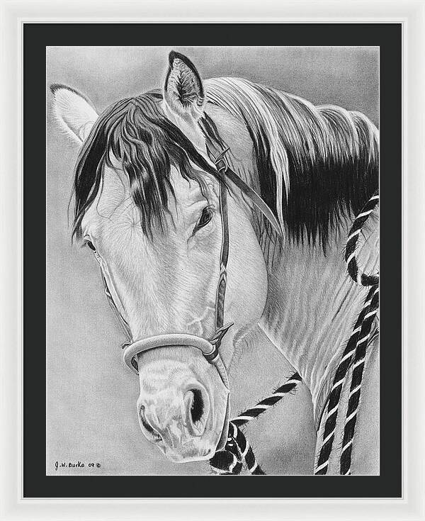 Watcha Lookin at - Framed Print
