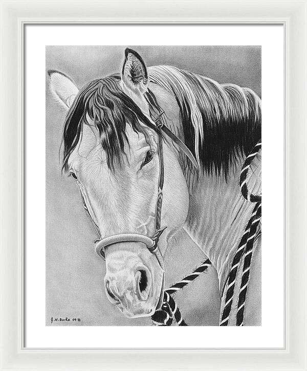Watcha Lookin at - Framed Print