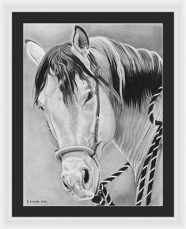 Watcha Lookin at - Framed Print