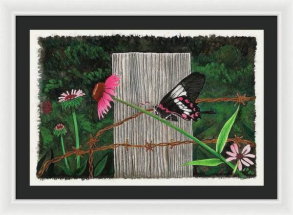 Fence Post and Butterfly