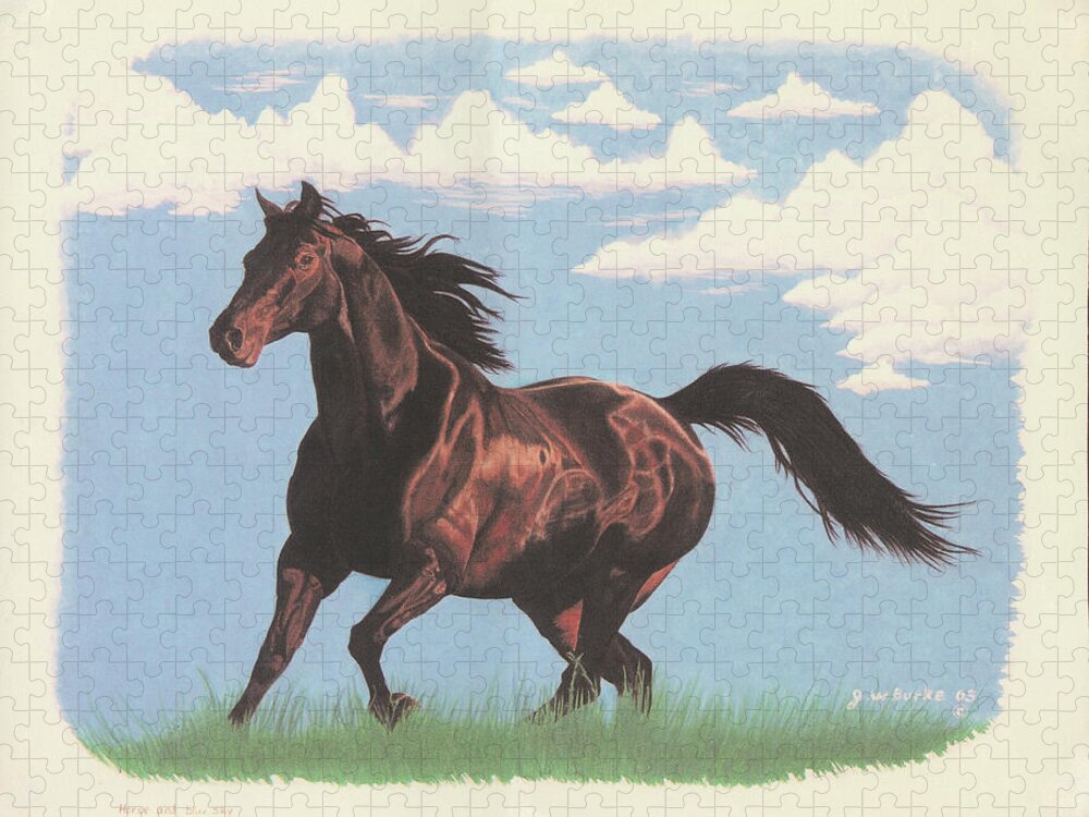 Horse and Blue Sky