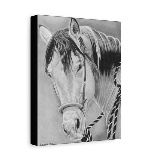 "Watcha lookin  at " western art on canvas
