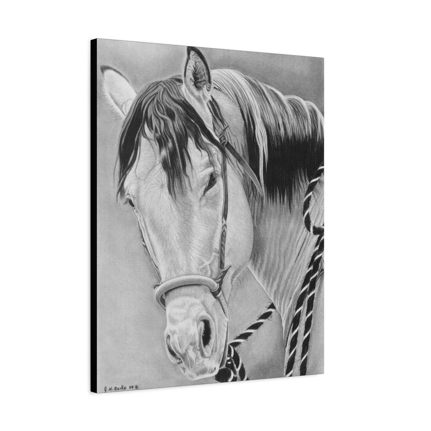 "Watcha lookin  at " western art on canvas