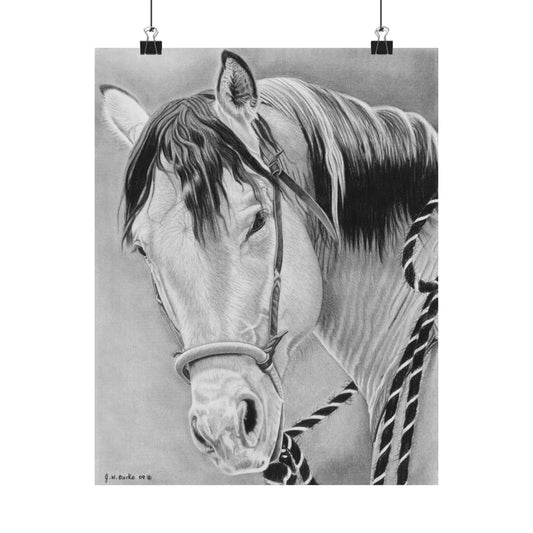 Watcha Lookin At" Equestrian Art Prints, Horse Wall Decor, Matte Vertical Posters, Stable Decor for Horse Lovers, Equine Gifts, Animal Lover's Art