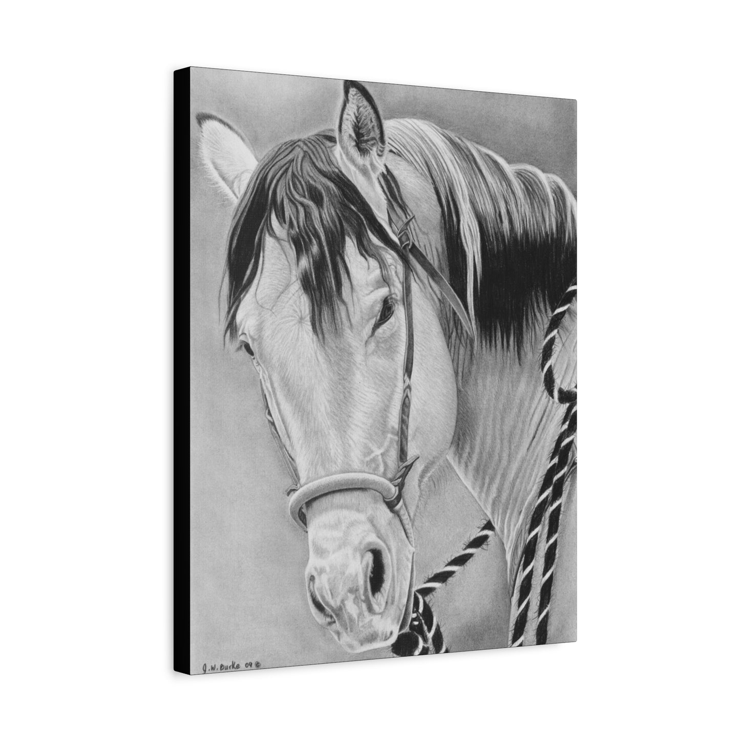 "Watcha lookin  at " western art on canvas