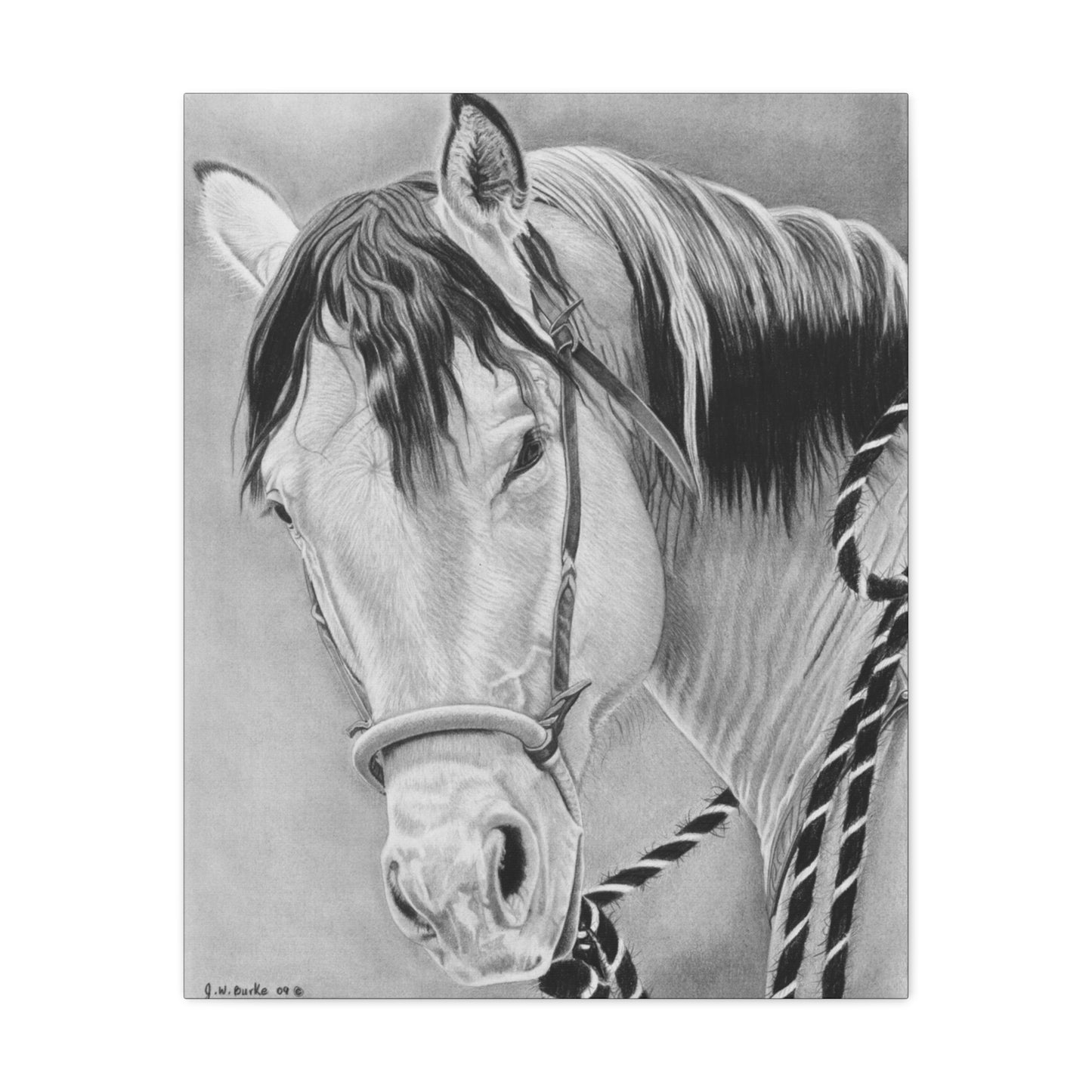 "Watcha lookin  at " western art on canvas