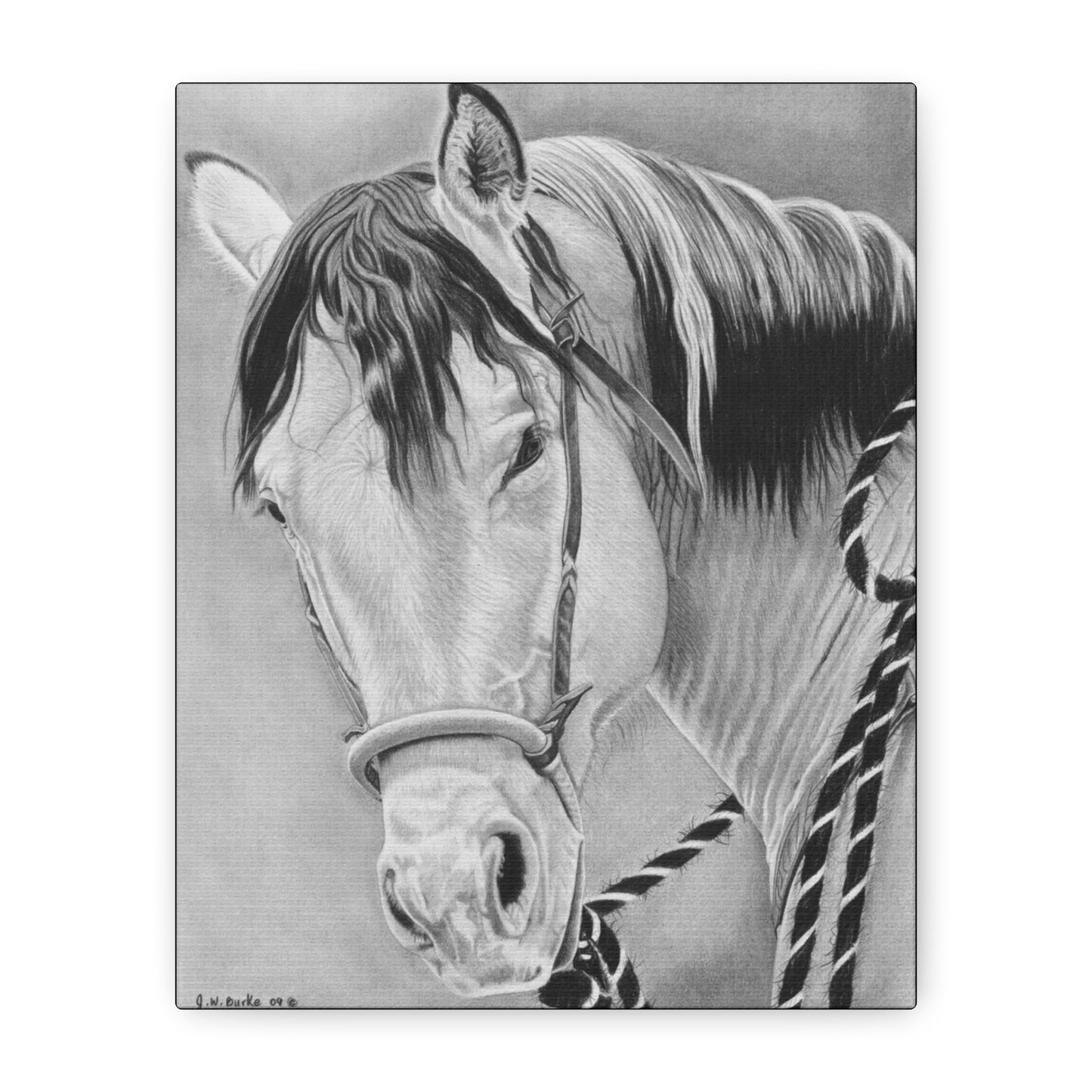 "Watcha lookin  at " western art on canvas
