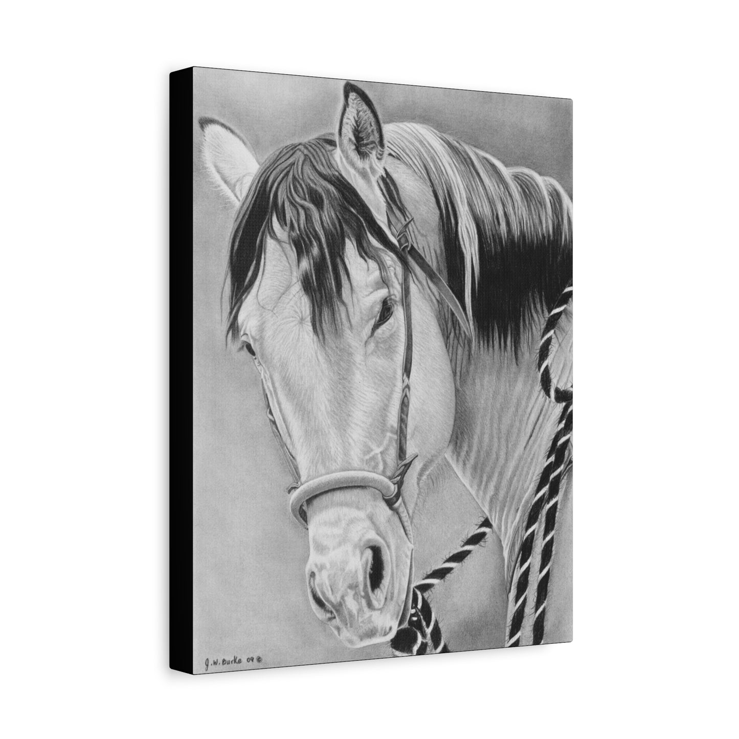"Watcha lookin  at " western art on canvas