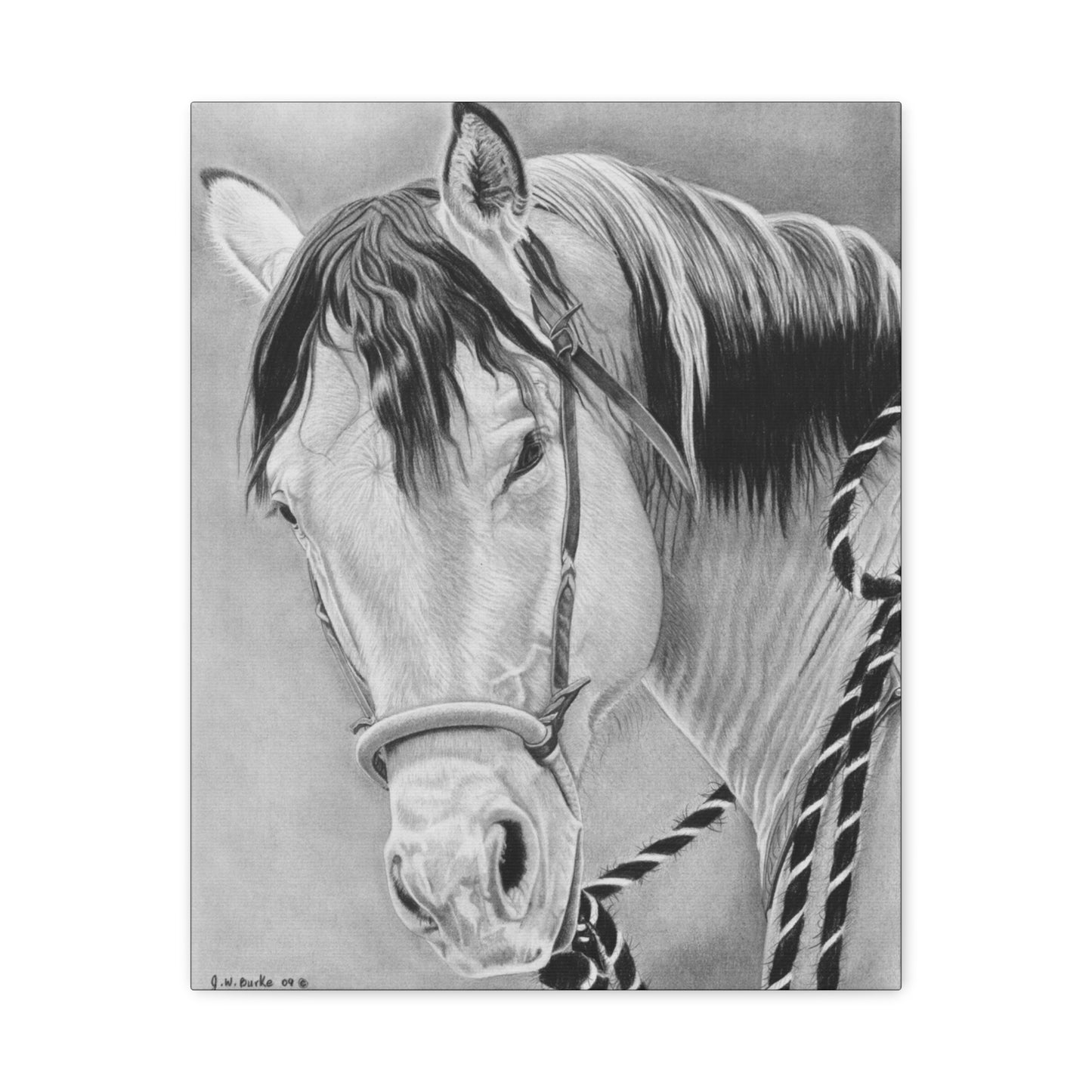 "Watcha lookin  at " western art on canvas