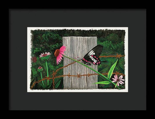 Fence  Post and Butterfly - Framed Print