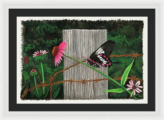 Fence  Post and Butterfly - Framed Print
