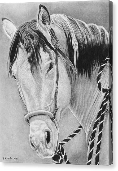 Watcha Lookin at - Canvas Print