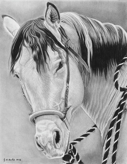 Watcha Lookin at - Art Print