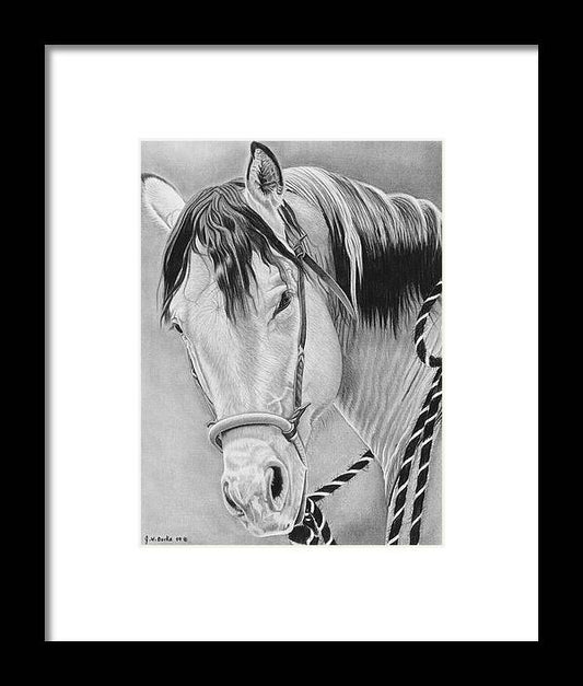 Watcha Lookin at - Framed Print