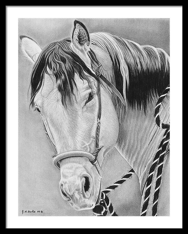 Watcha Lookin at - Framed Print